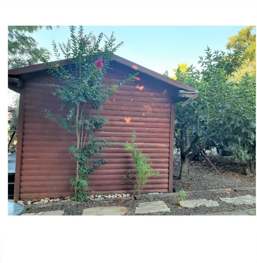 הוילה שדה אליעזר נופש בגליל בכיף מראה חיצוני תמונה